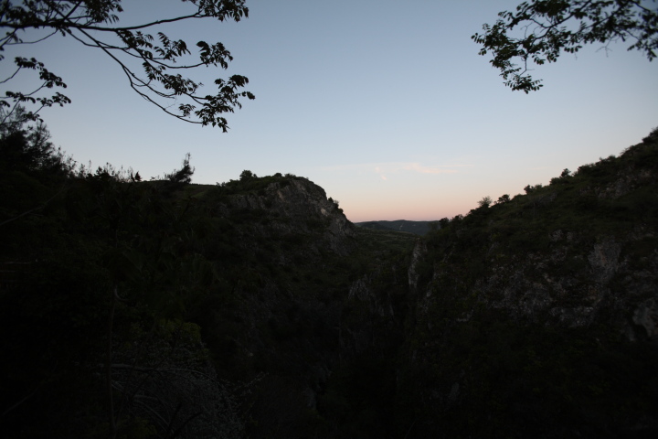 IMG 0631