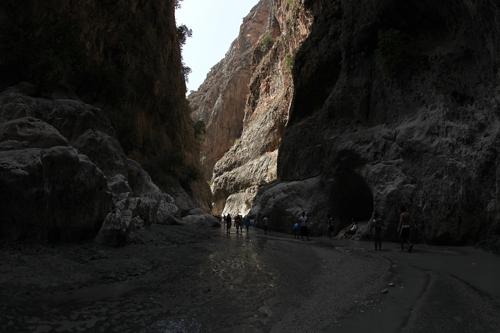 IMG 0249