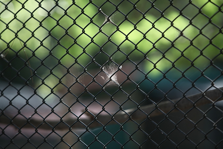 IMG 0432