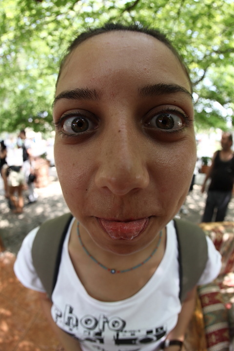 IMG 1212