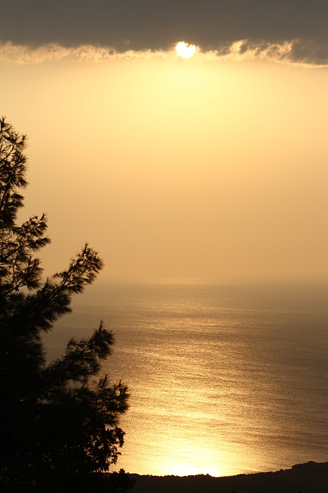 FG 0301