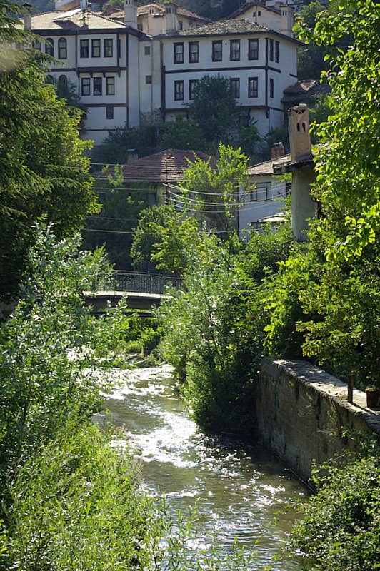 Tarakl�-G�yn�k