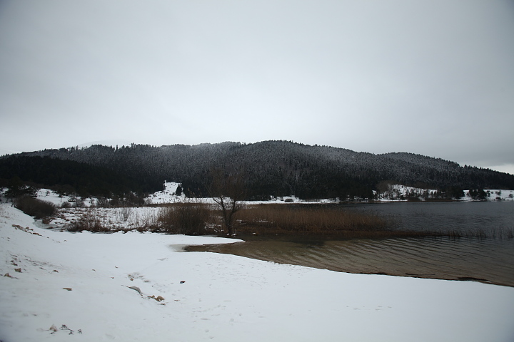 fg 005