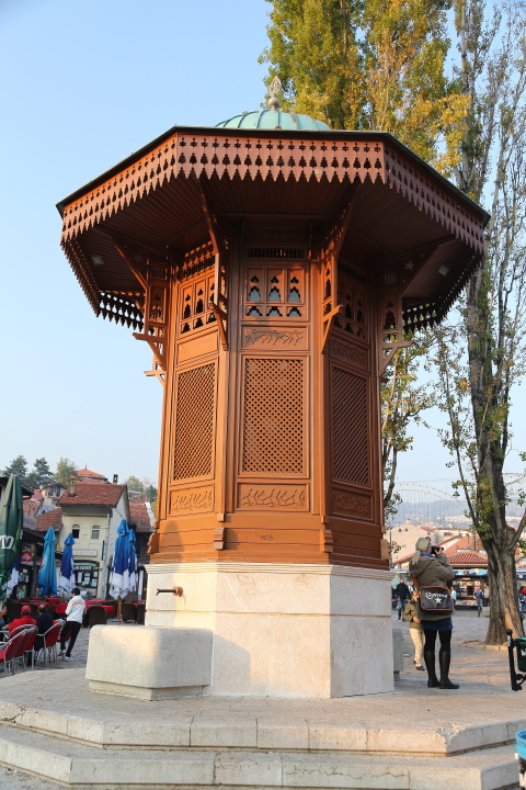 DPP 0294