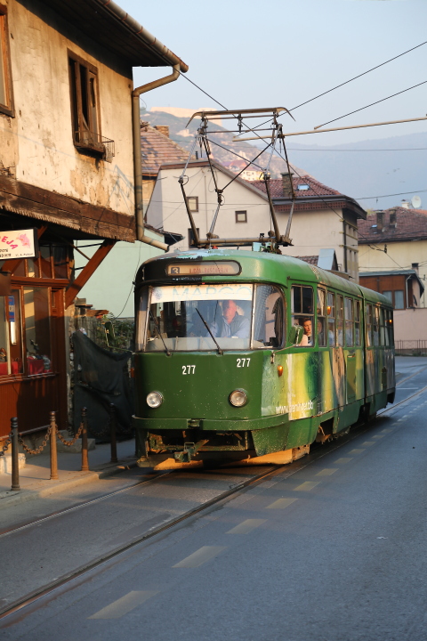 DPP 0298