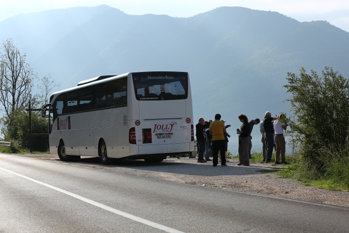 DPP 1536