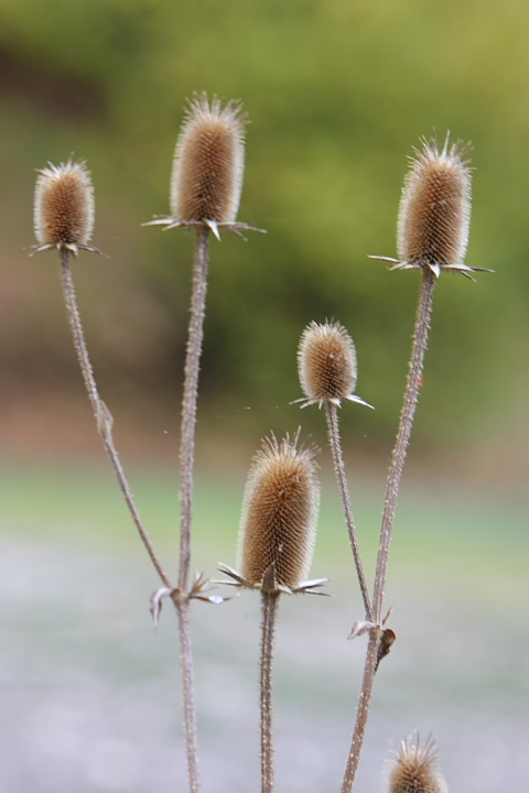 087