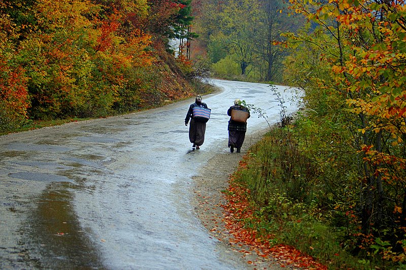 hayat biter yol bitmez