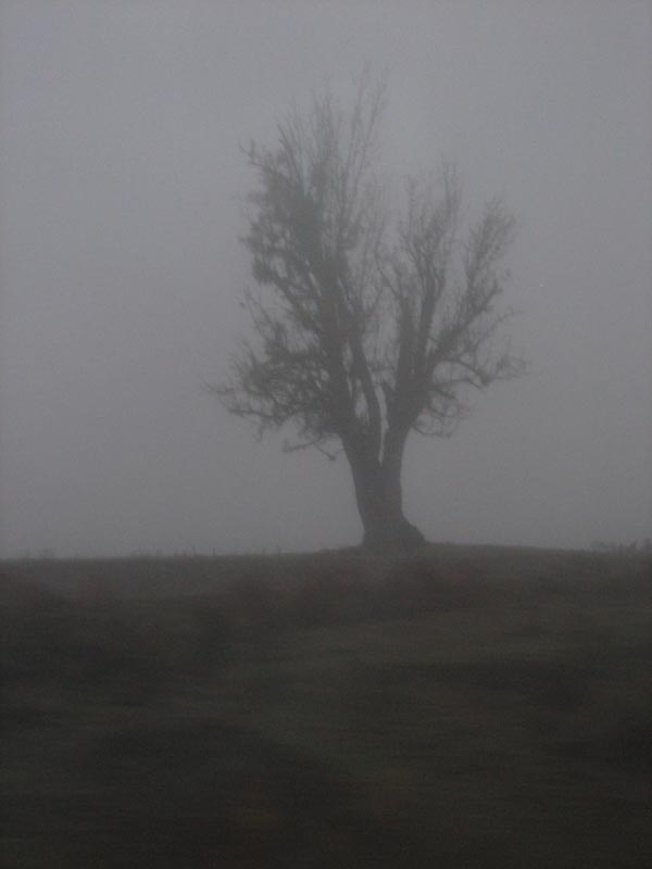 Yoldan
