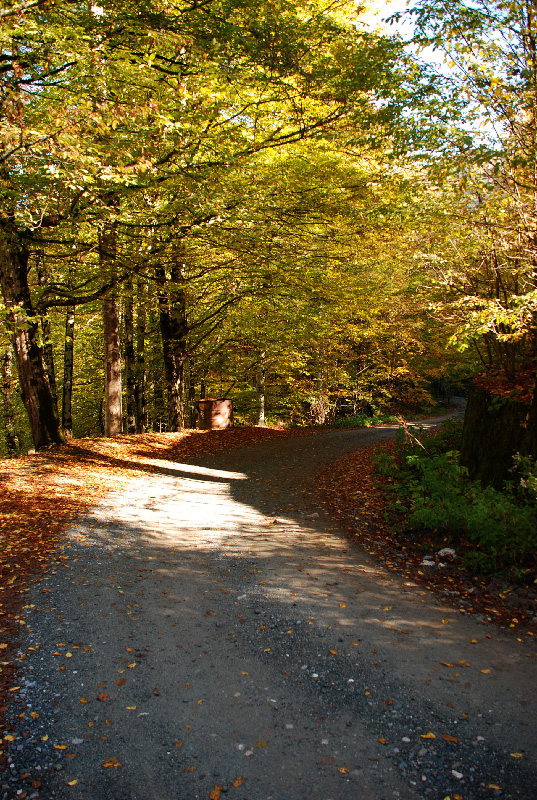 yol 2
