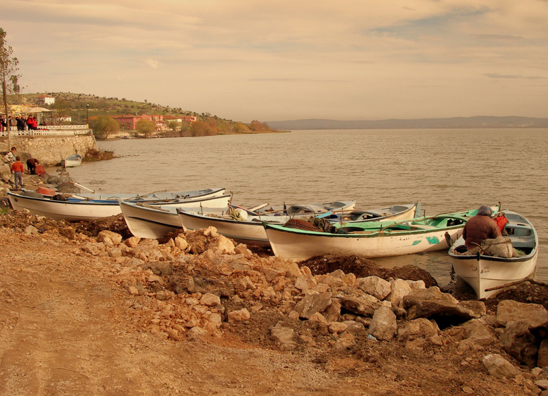 Bal�k�� Teyze