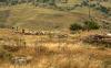 Erken kalkan yol al�r