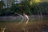 yans�malar