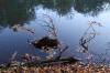 IMG 0034