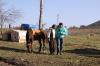 598
