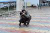 Yasir