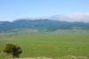 Yayla