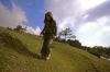 Tarakl�