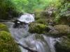 0021