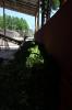 IMG 0637