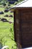 IMG 0713