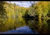 Yedi G�ller