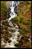 Yedi G�ller