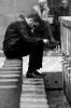 IMG 8803