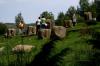 IMG 8848