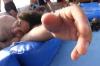 IMG 9968