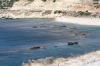 FG 0538