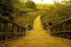Daha yolun ba��nday�m