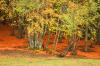 abant_04