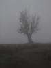 Yoldan