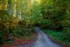 yol1