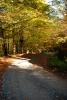 yol 2