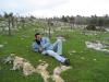 ye�ili buldu sevindi